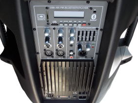 Колонка акустическая  PP-2115 AUES