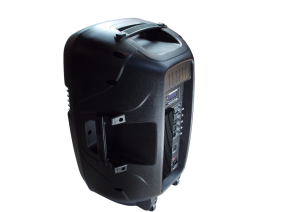  Активная колонка PP - 2115 GM - AUES